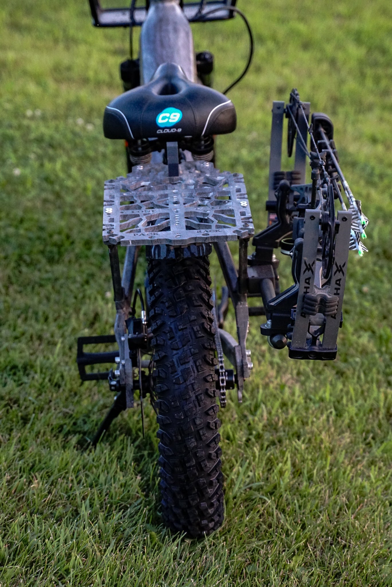 K9 E-Bike