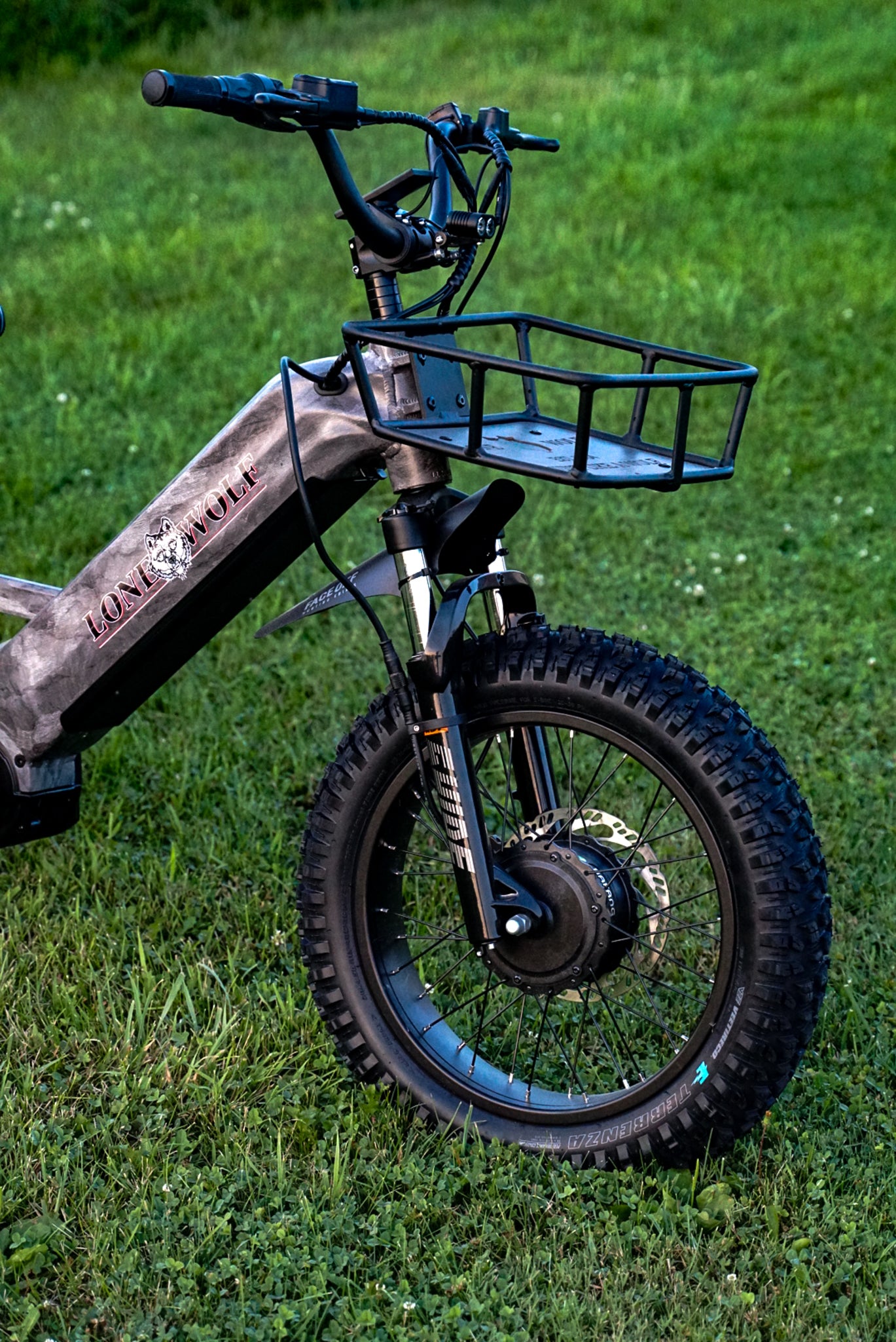 K9 E-Bike