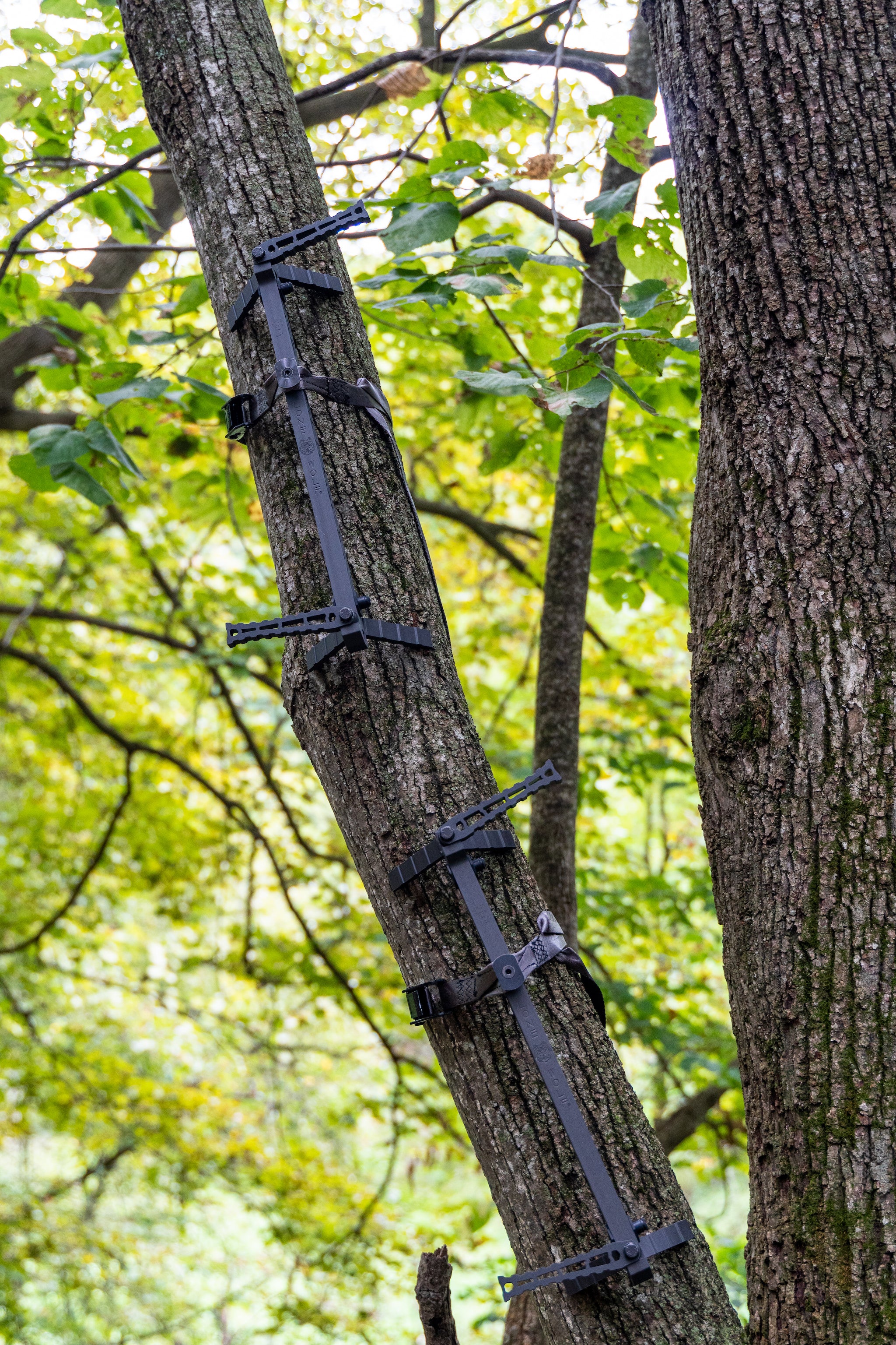 D'Acquisto Series Compact Climbing Stick